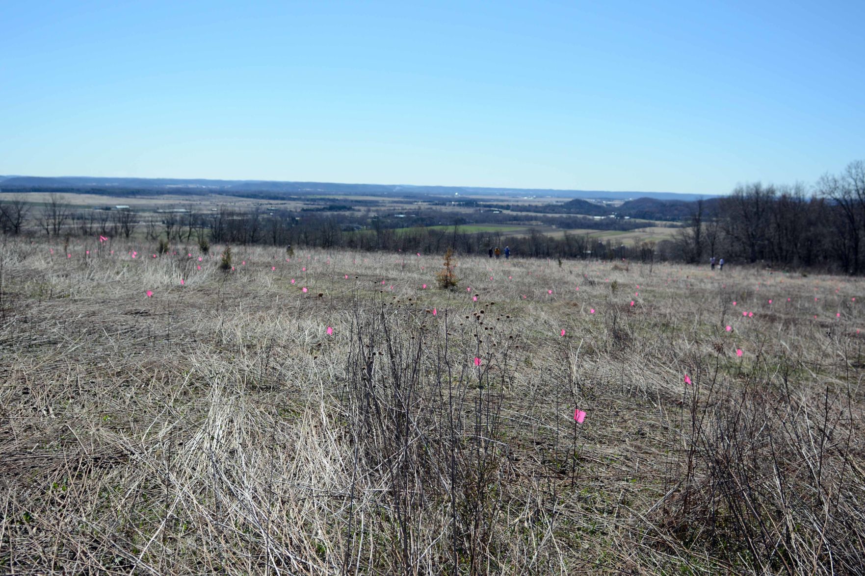 Earth Day tree planting in Baraboo Hills, April 20